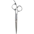 Fromm Professional Explore 5.75 Inch Hair Cutting Shears front view showcasing polished silver finish
