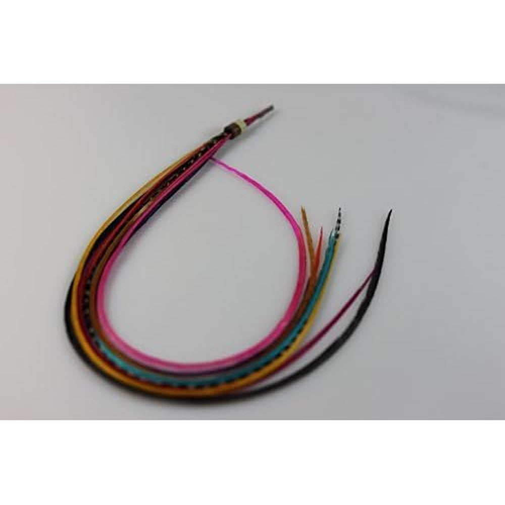 Fiico Happy Rainbow Mix feather hair extensions front view