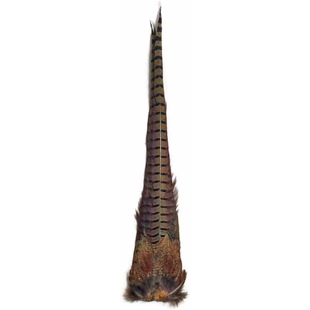 Moonlight Feather complete Ringneck pheasant tail clump front view
