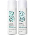 Briogeo Destined For Density shampoo and conditioner set front view bottles