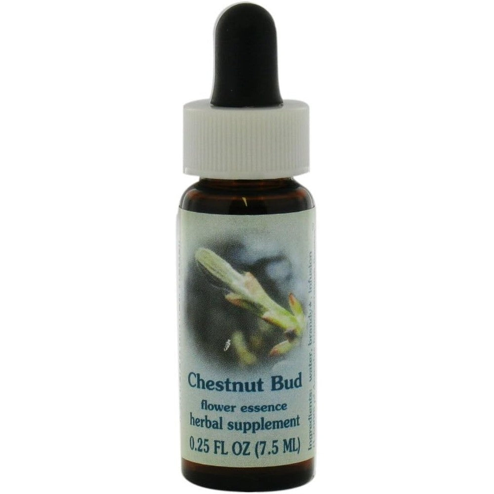 Flower Essence Services Chestnut Bud Dropper 0.25 Fluid Ounce front view authentic herbal supplement