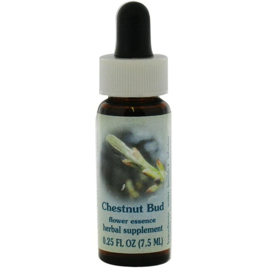 Flower Essence Services Chestnut Bud Dropper 0.25 Fluid Ounce front view authentic herbal supplement