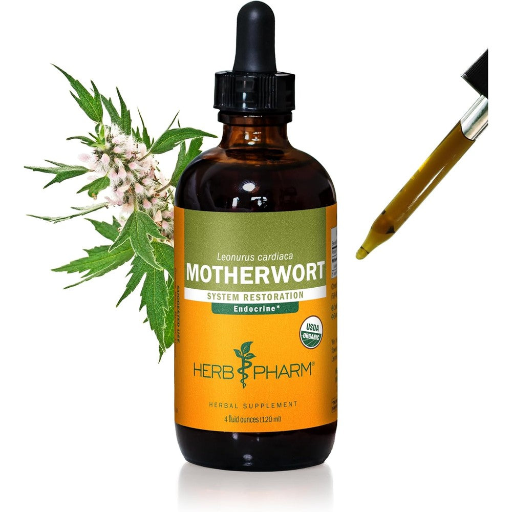 Herb Pharm Certified Organic Motherwort Liquid Extract 4 Fluid Ounce front label view for endocrine support
