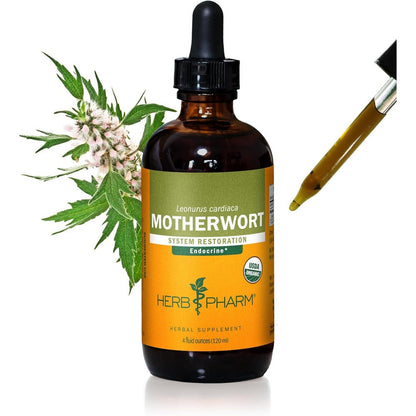 Herb Pharm Certified Organic Motherwort Liquid Extract 4 Fluid Ounce front label view for endocrine support