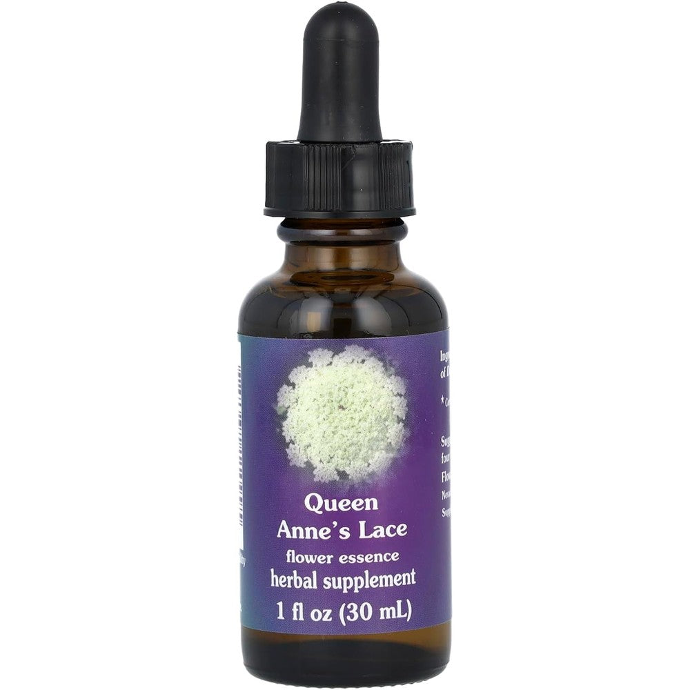 Flower Essence Services Queen Annes Lace Dropper front view for emotional balance.
