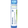 Boiron Belladonna 30C front view of blue dispensing tube for fever relief.