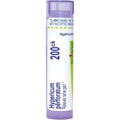 Boiron Hypericum Perforatum 200CK pellet dispenser tube front view for nerve pain relief.