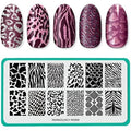 Maniology Animal Instinct nail stamping plate front view