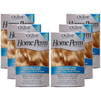 Ogilvie Salon Styles Home Perm Original box front view for authentic USA hair care product