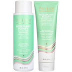 Pacifica Rosemary Purify shampoo and conditioner set front view bottles