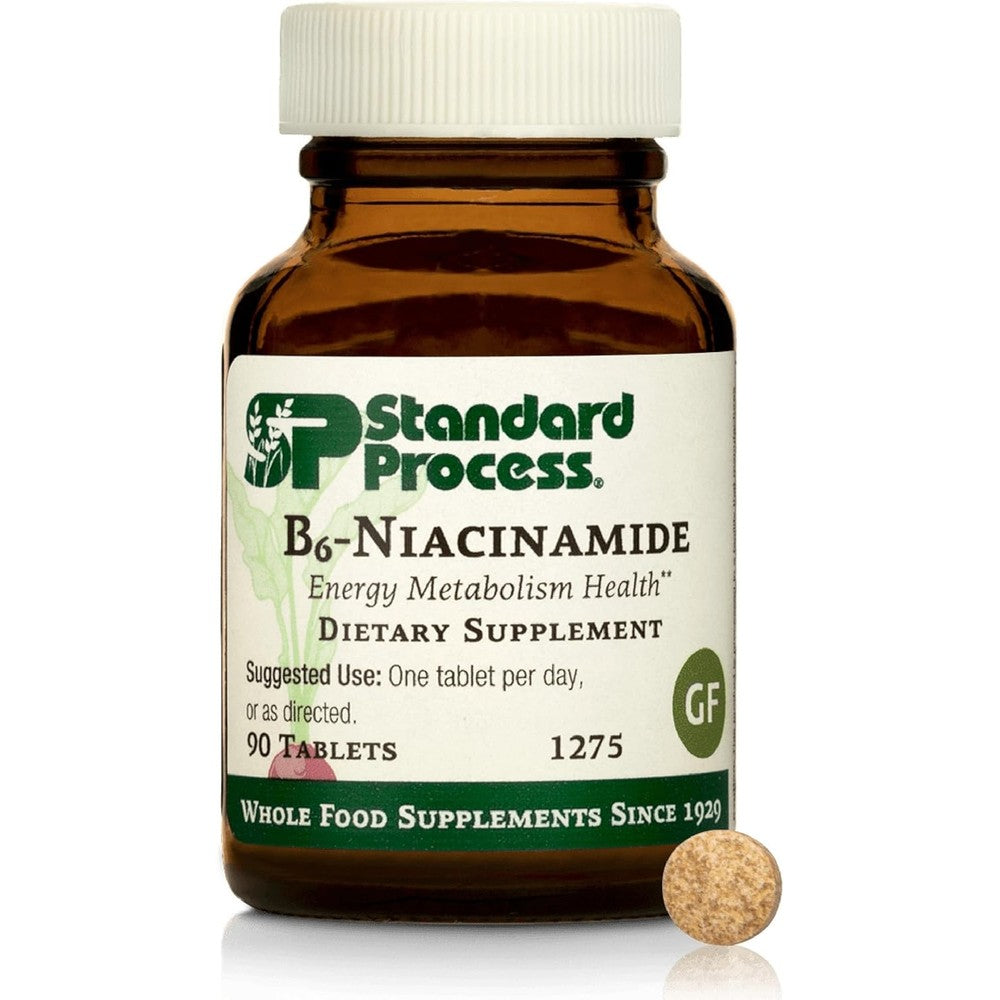 Standard Process B6 Niacinamide 90 tablets front bottle view showing energy metabolism support label