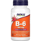 Now Foods Vitamin B6 100 Milligrams 100 Vegetarian Capsules front bottle view