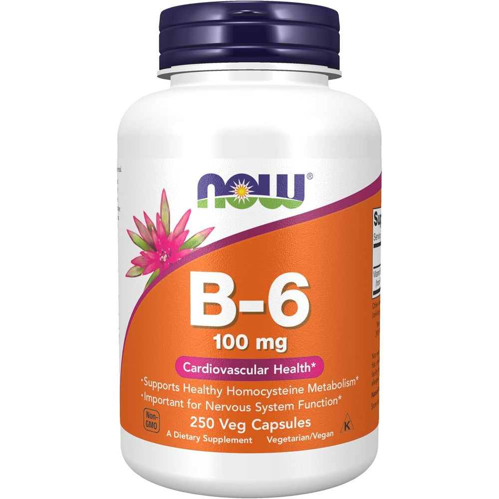 Now Foods Vitamin B6 100mg front view label