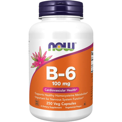 Now Foods Vitamin B6 100mg front view label