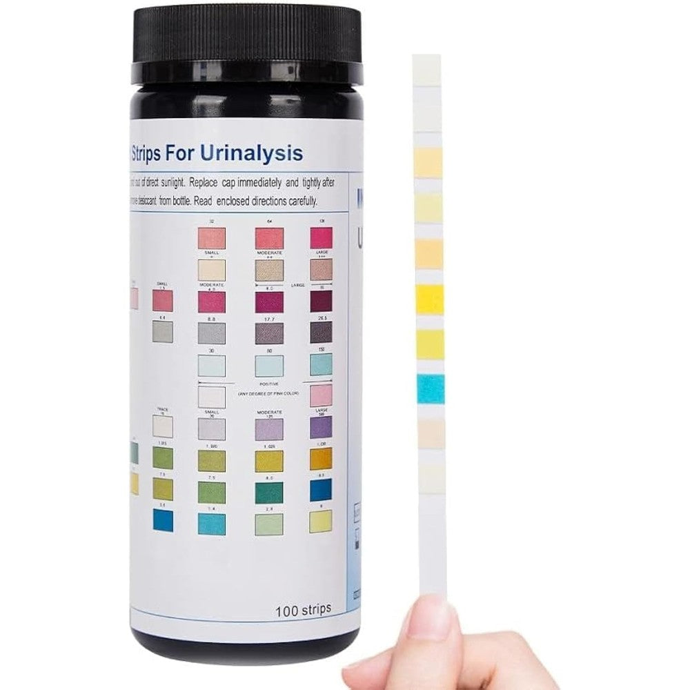 INVBIO 11-Parameter Urinalysis Test Strips front view bottle for health monitoring.