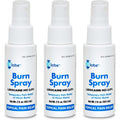 Globe Burn Spray 2 ounce bottle front view first aid anesthetic