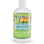 Schooltime Lice and Nit Shampoo 12 ounce front view for kids treatment.