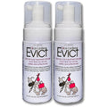 Lice Ladies EVICT foaming mousse front view for professional lice removal.