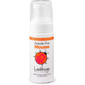 Ladibugs Elimination Mousse front view natural lice treatment