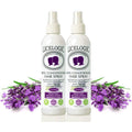 LiceLogic Repel Lice Prevention Hair Spray 2-pack lavender front view for natural head lice protection