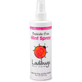 Ladibugs Lice Prevention Mint Spray 8 Ounce front view bottle for daily protection.