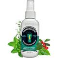 Thunderfoot Natural Shoe and Foot Deodorizing Spray 4 Ounce front view bottle for odor elimination
