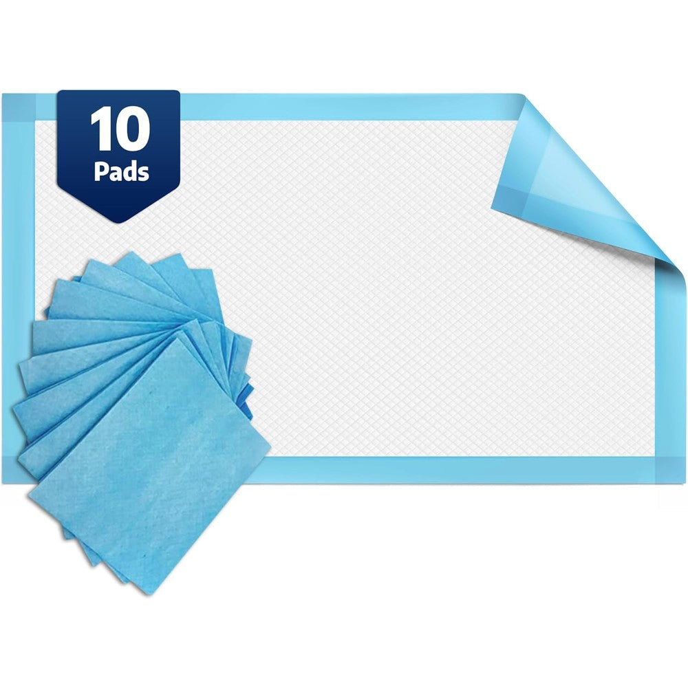 BodyMed disposable chucks incontinence underpads ten count package front view showing brand logo and dimensions.