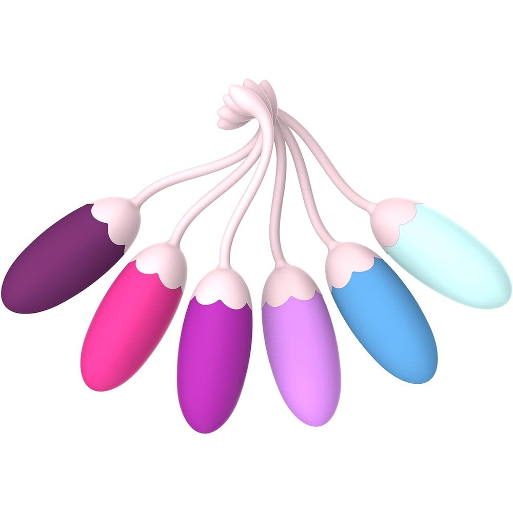 Fenhua Kegel Exercise System set of 6 weights front view