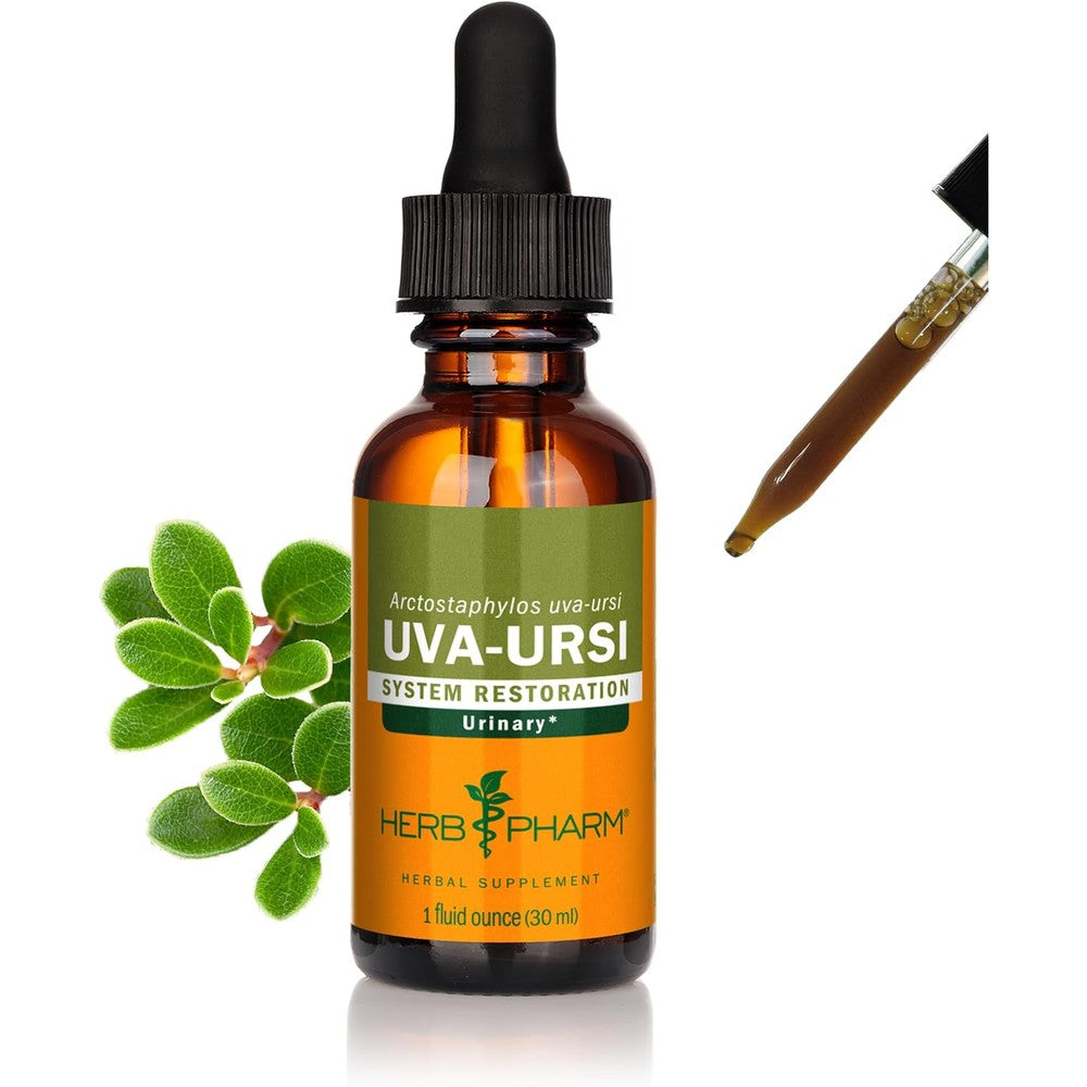 Herb Pharm Uva Ursi Liquid Extract 1 Fluid Ounce front view bottle for urinary system support