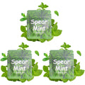LAMKHOO Spearmint Flavor Cores front view of three packs for breathing necklace