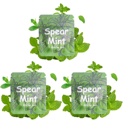 LAMKHOO Spearmint Flavor Cores front view of three packs for breathing necklace