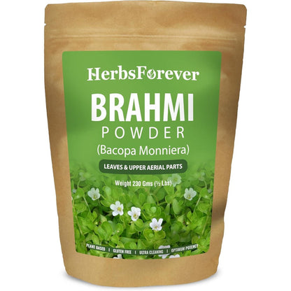 Herbsforever Brahmi Bacopa Monnieri Powder front view container for cognitive wellness