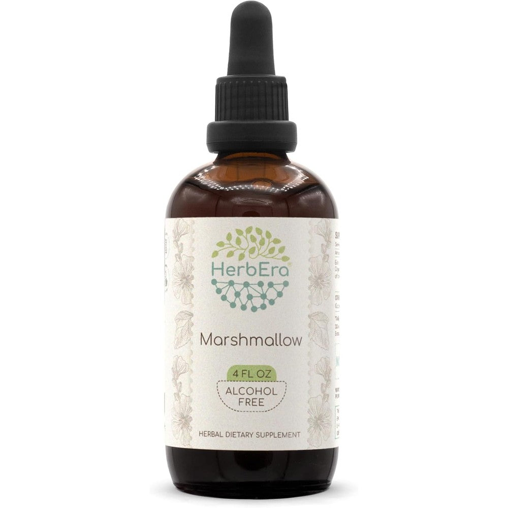 Herbera Marshmallow Root alcohol-free tincture 4 fluid ounce bottle front view