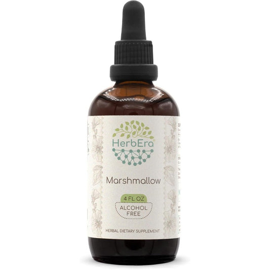 Herbera Marshmallow Root alcohol-free tincture 4 fluid ounce bottle front view