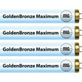 GoldenBronze maximum f71t12 tanning bulbs front view showing bi-pin connectors