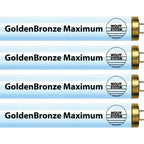 GoldenBronze maximum f71t12 tanning bulbs front view showing bi-pin connectors