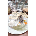 Uni101 cleansing and purification spiritual tea bath pouch front view