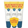 Burt's Bees Rescue Lip Relief Honey Vanilla front view squeeze tube packaging