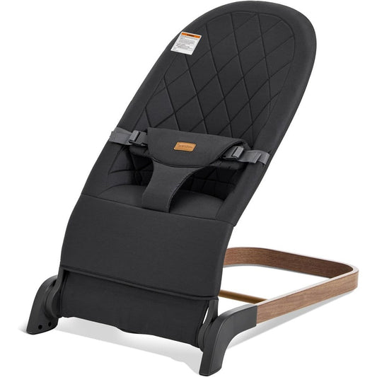 Taylengrow Baby Foldable Bouncer in charcoal gray front view