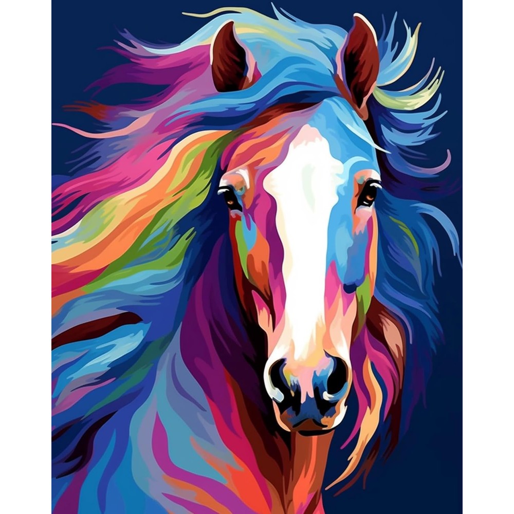 Maomaomi paint by numbers DIY acrylic painting kit front view showing colorful horse design
