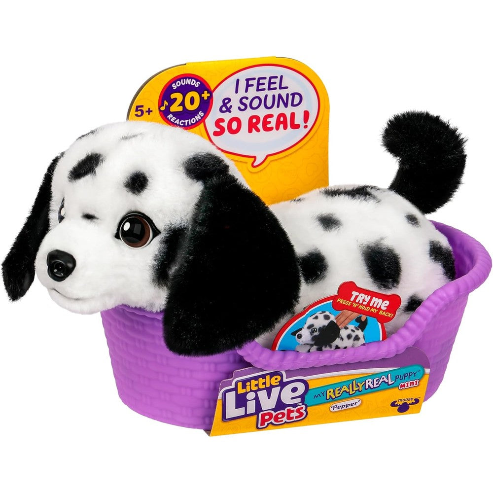 Little Live Pets My Really Real Series Two Puppy Mini Pepper The Dalmatian Interactive Plush Toy With Cozy Basket And Twenty Plus Sounds And Reactions