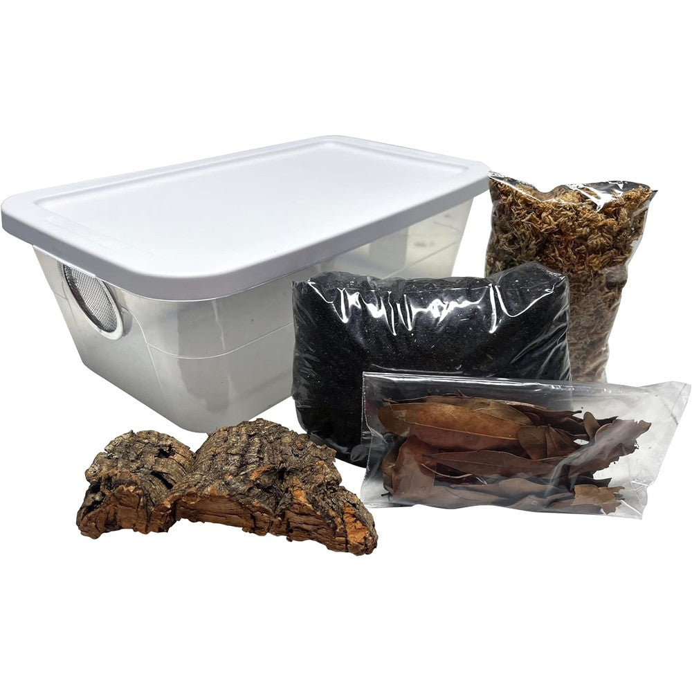 Exo-Morphs Deluxe Isopod Habitat Kit front view showing the complete insect terrarium setup with soil and moss.