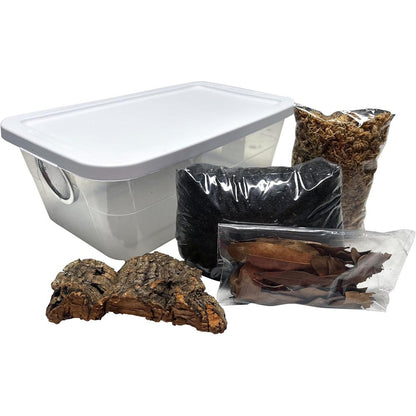 Exo-Morphs Deluxe Isopod Habitat Kit front view showing the complete insect terrarium setup with soil and moss.