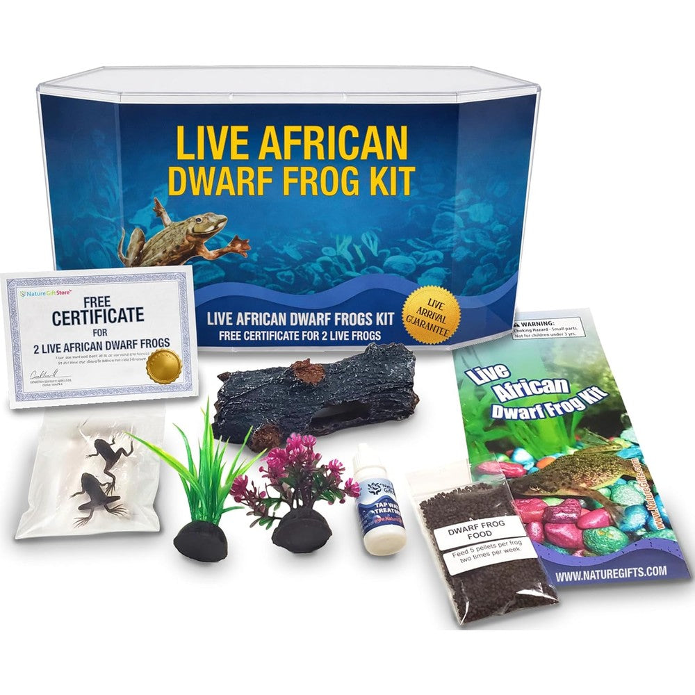 Nature Gift Store African Dwarf Frog Starter Kit front view showing small aquarium and accessories package