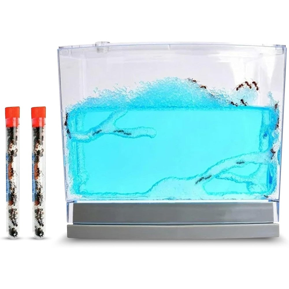 Nature Gift Store Ant Habitat Kit front view showing blue nutrient gel and transparent acrylic enclosure