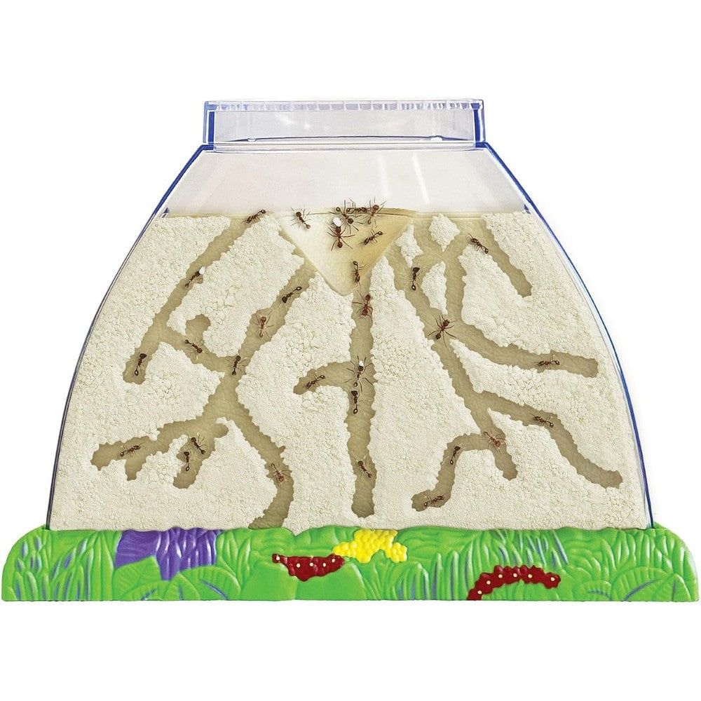 Insect Lore Ant Hill Habitat Kit front view showing the transparent dual sided viewing window.