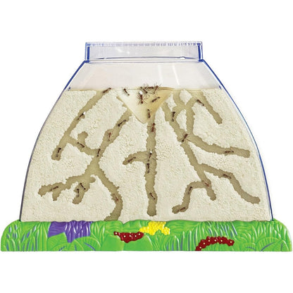Insect Lore Ant Hill Habitat Kit front view showing the transparent dual sided viewing window.