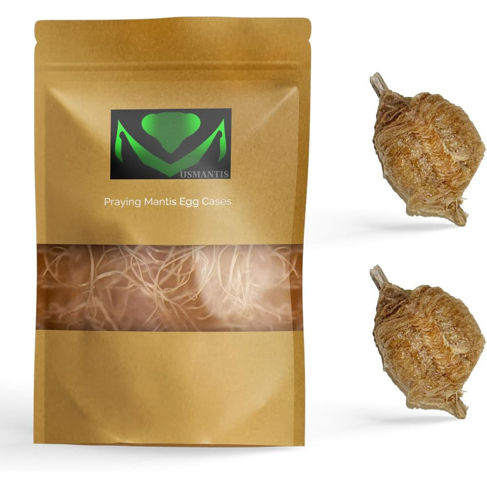 USMANTIS Praying Mantis Ootheca Egg Case package front view with transparent habitat bag
