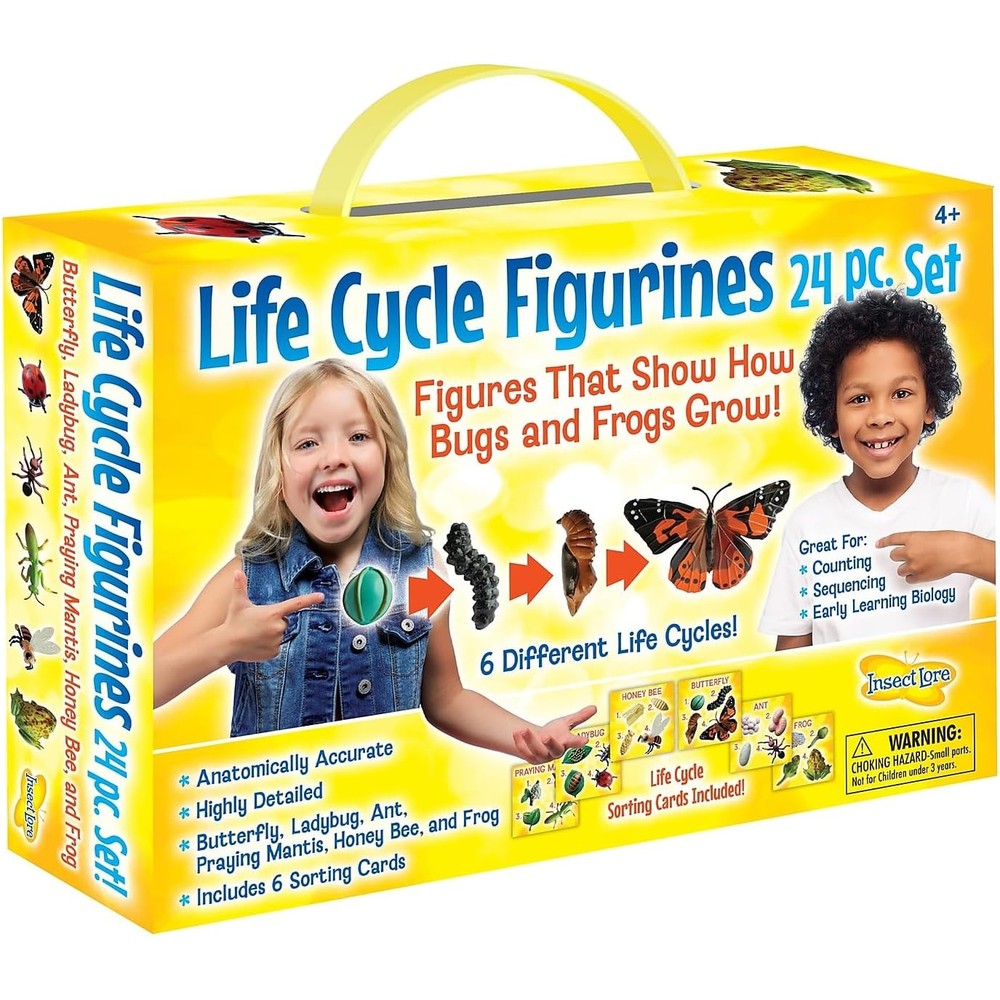 Insect Lore Life Cycle Figurines twenty four piece complete set front packaging view with educational STEM biological models.