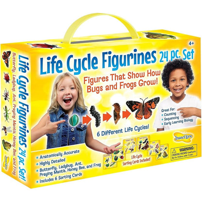 Insect Lore Life Cycle Figurines twenty four piece complete set front packaging view with educational STEM biological models.